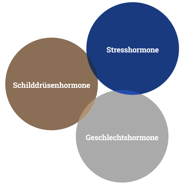 kPNI und Frauengesundheit: Vernetzung von Schilddrüsenhormonen, Stresshormonen und Geschlechtshormonen